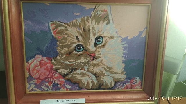 изображение viber 2019 10 02 21 21 59